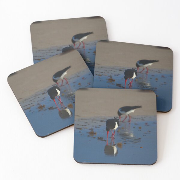 Item preview, A Pair Of Pied Oyster Catchers Hunting designed and sold by Jason Gilbert.