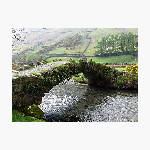 Item preview, A Living Bridge designed and sold by mikebov.