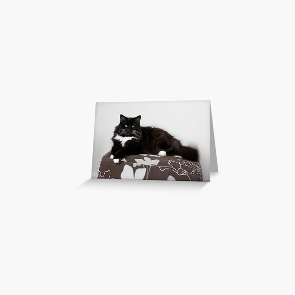 Olivia Greeting Card