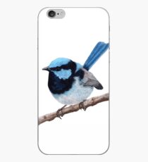 Superb fairy-wren iPhone Case