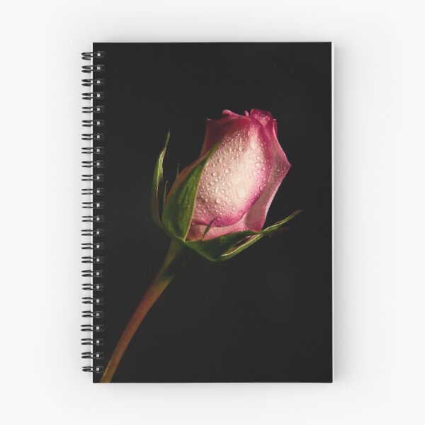 Item preview, Rosebud designed and sold by Robert Kelch, M.D..