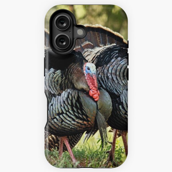 Item preview, Wild Turkey Gobblers designed and sold by Texas Enfocus Photography.