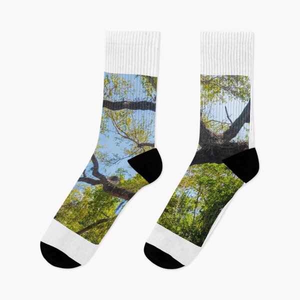 Item preview, Tree With Moss designed and sold by barkeypf.