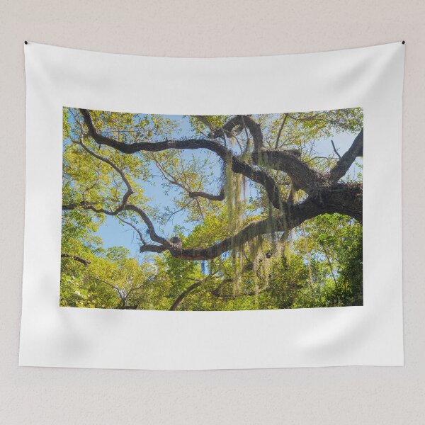 Item preview, Tree With Moss designed and sold by barkeypf.