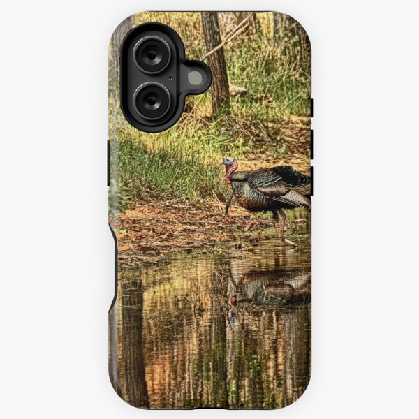 Item preview, Wild Turkey Reflection  designed and sold by Texas Enfocus Photography.