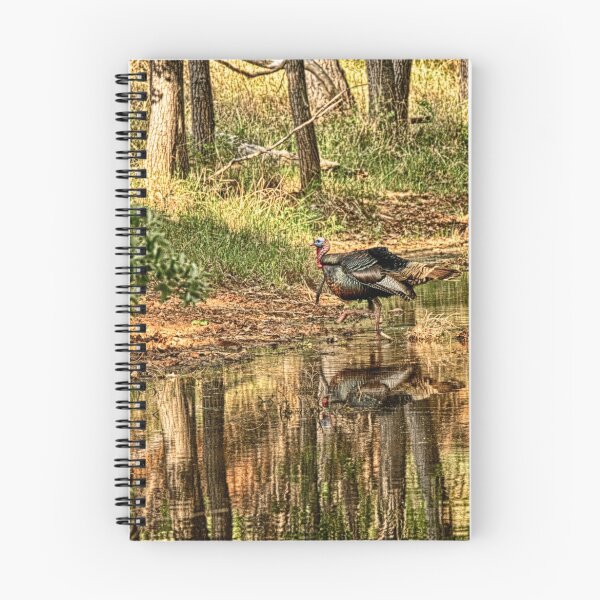 Item preview, Wild Turkey Reflection  designed and sold by Texas Enfocus Photography.