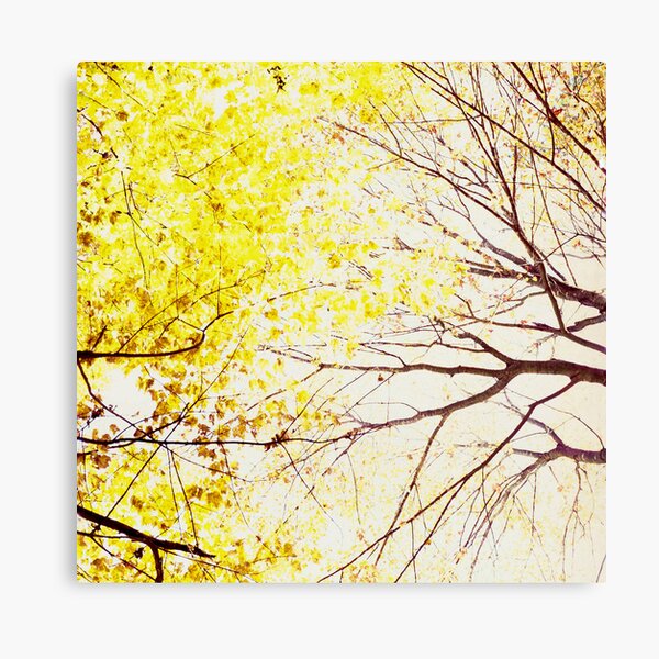 Item preview, Canopy designed and sold by DBGuinn.