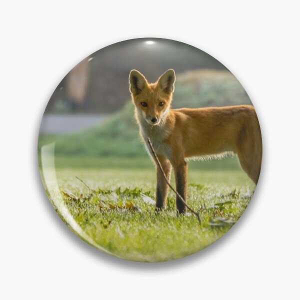 Item preview, Foxy Lady designed and sold by Robert Alsop.