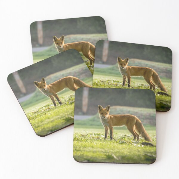 Item preview, Foxy Lady designed and sold by Robert Alsop.