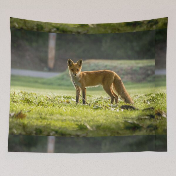 Item preview, Foxy Lady designed and sold by Robert Alsop.