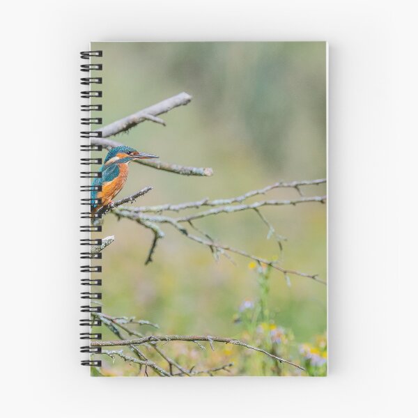Item preview, Kingfisher bird designed and sold by Smiffy63.