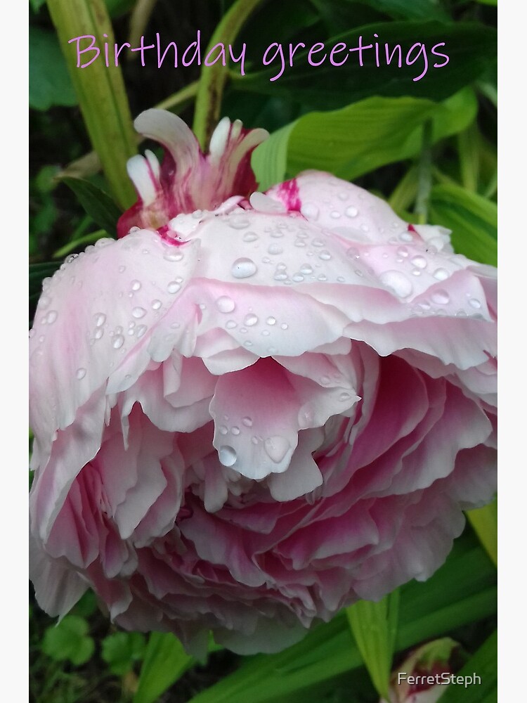 Peony Posy Floral Personalized Note Cards