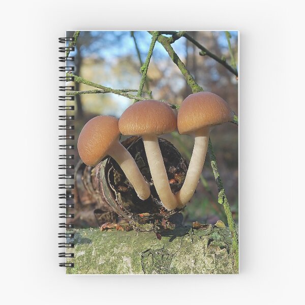 Item preview, Psathyrella Piluliformis designed and sold by relayer51.