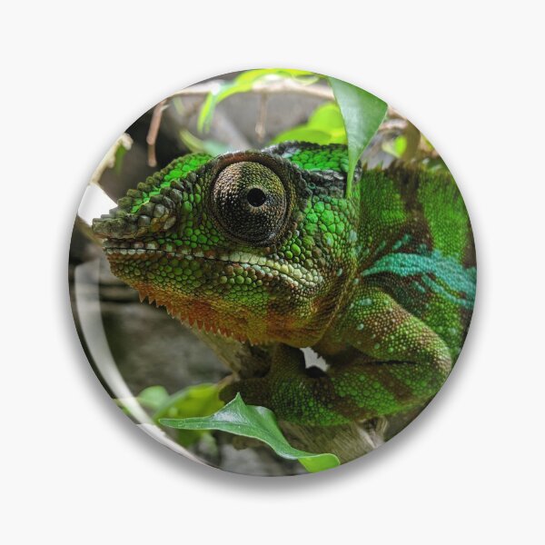 Item preview, Panther chameleon designed and sold by rootedrender.