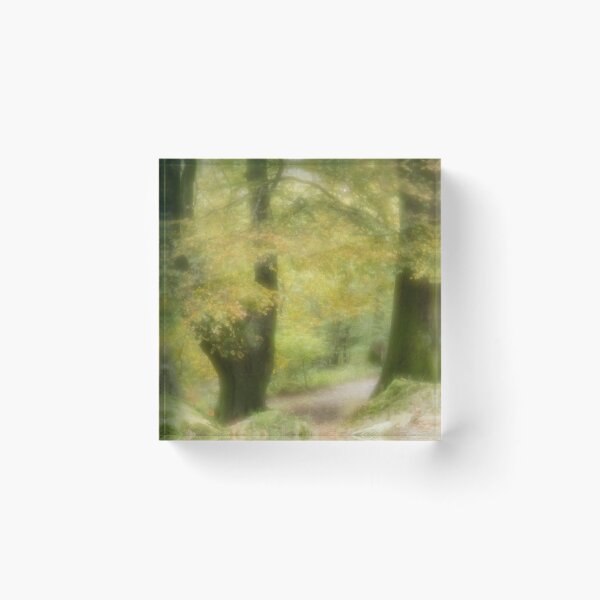 Item preview, Autumn trees designed and sold by Judi Lion.