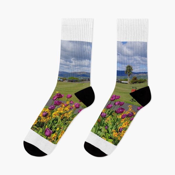 Item preview, Rothesay Winter Gardens, Isle of Bute, Scotland designed and sold by AlbaPhotography.