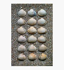 HEART SHELLS ON SAND Photographic Print
