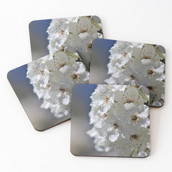 Item preview, Blossom Closeup designed and sold by Samuel Schaar.
