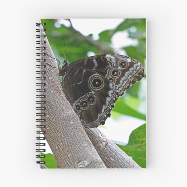 Item preview, Blue morpho butterfly designed and sold by rootedrender.