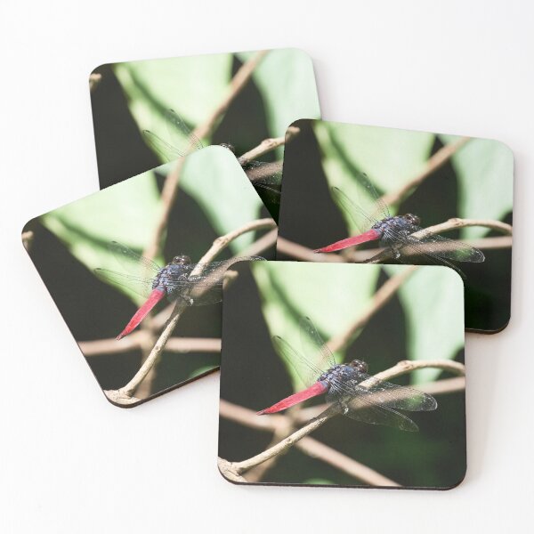 Item preview, "Impressions from the Manembo Nembo Nature Reserve of North Sulawesi" 3 of 5 designed and sold by Andreas Koerner.
