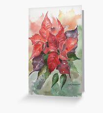 Poinsettias Greeting Card