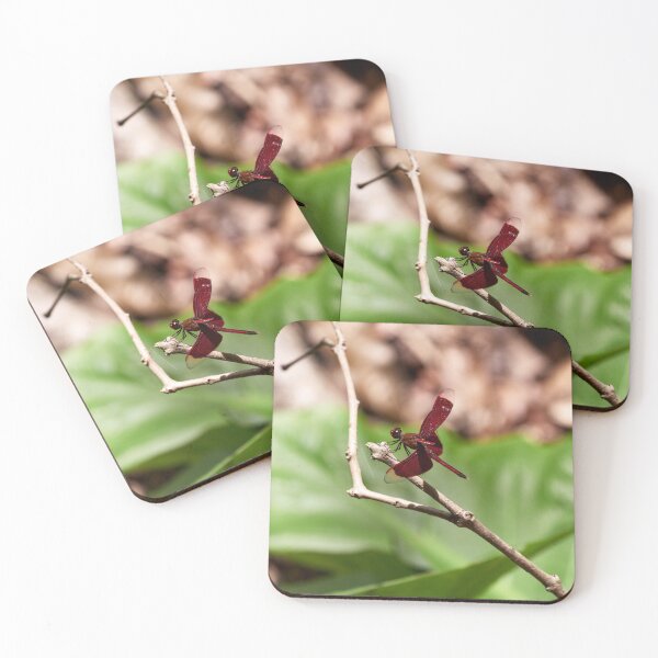 Item preview, "Impressions from the Manembo Nembo Nature Reserve of North Sulawesi" 2 of 5 designed and sold by Andreas Koerner.