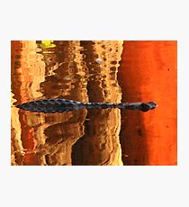 Croc reflections Photographic Print