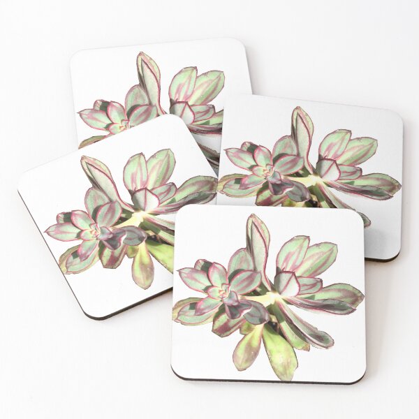 Item preview, Succulent designed and sold by lezell.