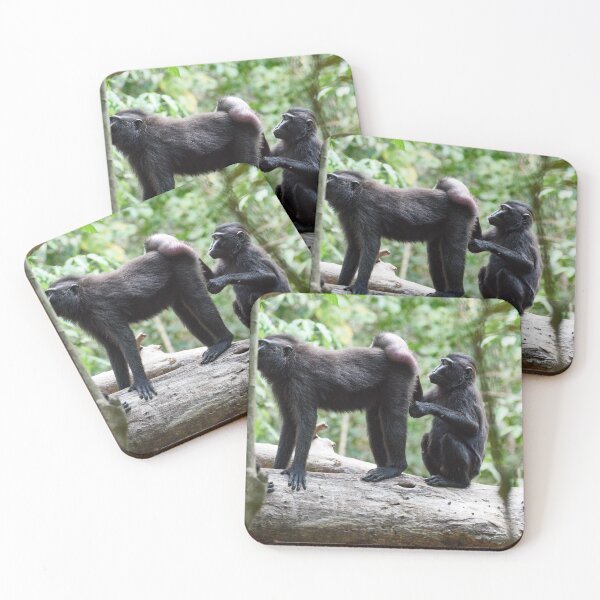 Item preview, "The Celebes crested macaque of Tangkoko National Park" 6 of 11 designed and sold by Andreas Koerner.
