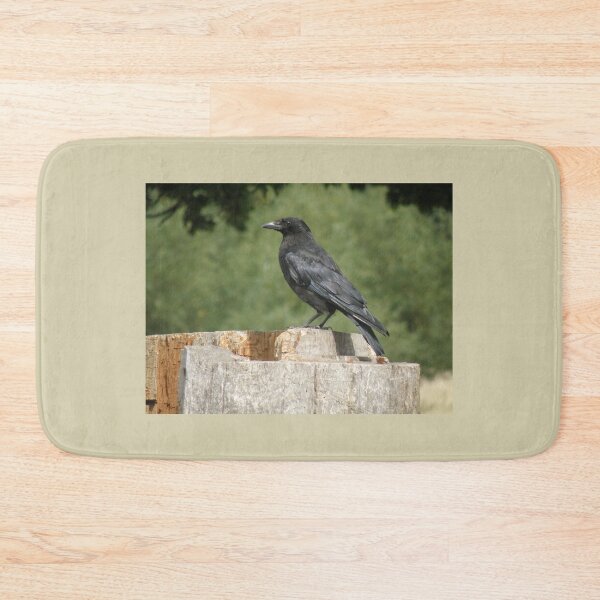 Item preview, Crow on a Tree Stump Photograph designed and sold by naturegallery.