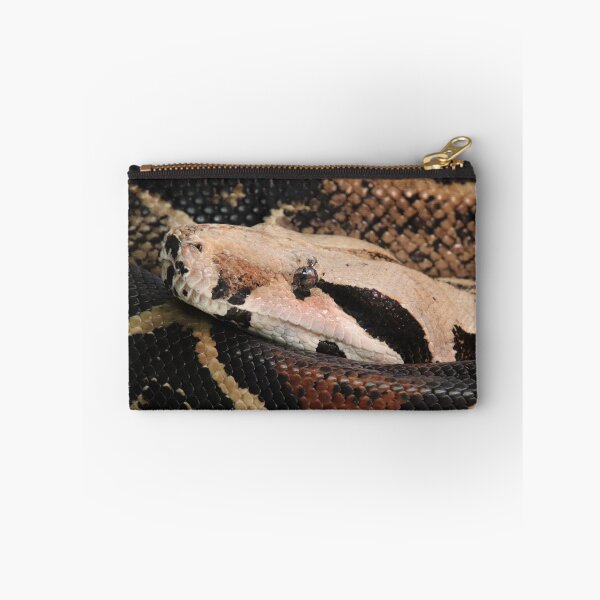 Item preview, Boa constrictor designed and sold by rootedrender.