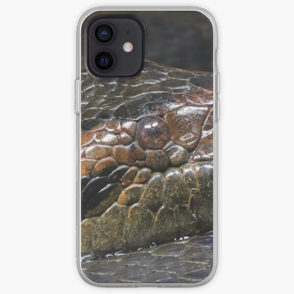 Anakonda Iphone Hullen Cover Redbubble