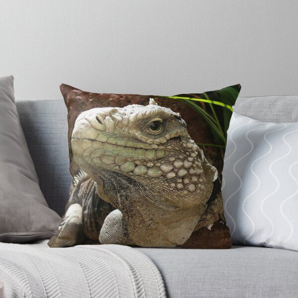 Item preview, Cuban rock iguana designed and sold by rootedrender.