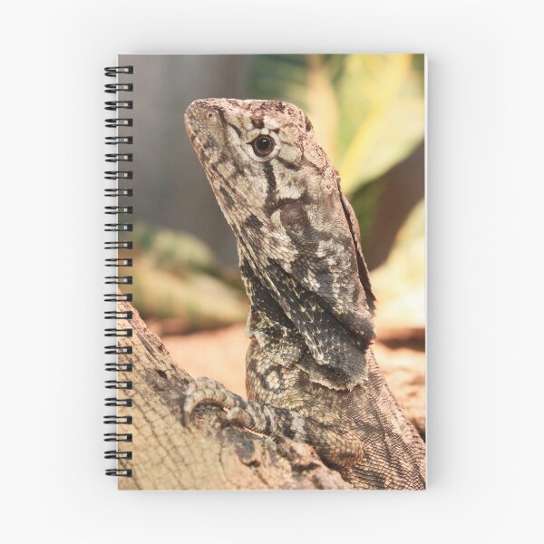 Item preview, Frilled lizard designed and sold by rootedrender.