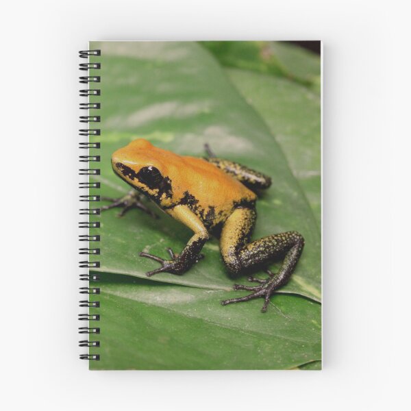 Item preview, Black-legged poison dart frog designed and sold by rootedrender.