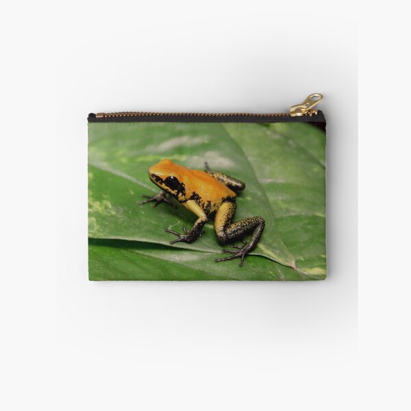 Item preview, Black-legged poison dart frog designed and sold by rootedrender.