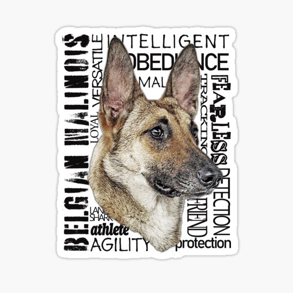 The Many Names: Belgian Malinois Black Lettering T-Shirt Sticker