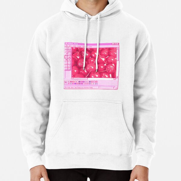 pink aesthetic hoodie