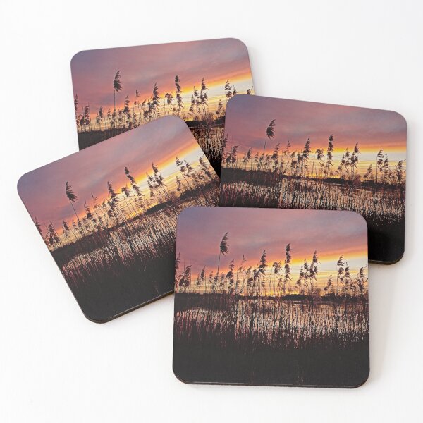 Item preview, Reed canes along the marsh at sunset designed and sold by xophotography.