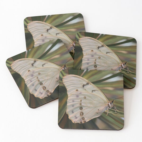 Item preview, White morpho designed and sold by rootedrender.