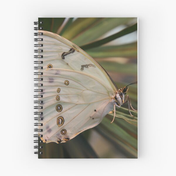 Item preview, White morpho designed and sold by rootedrender.