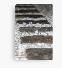 Garden steps Canvas Print