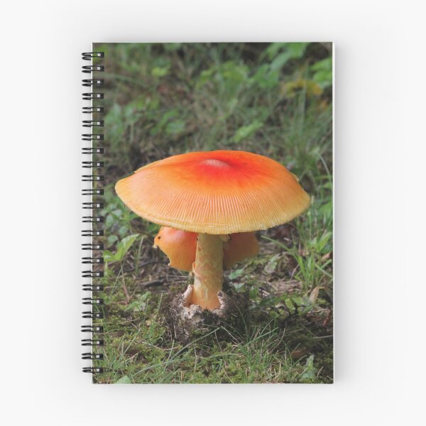 Item preview, Red-orange mushroom designed and sold by rootedrender.