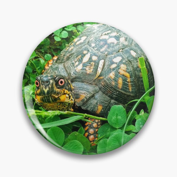 Item preview, Eastern box turtle designed and sold by rootedrender.