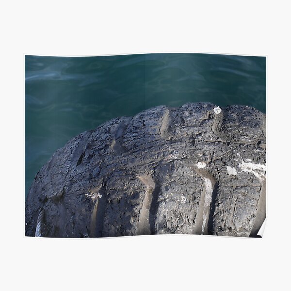 Life of a dock fender (Eminönü) Poster