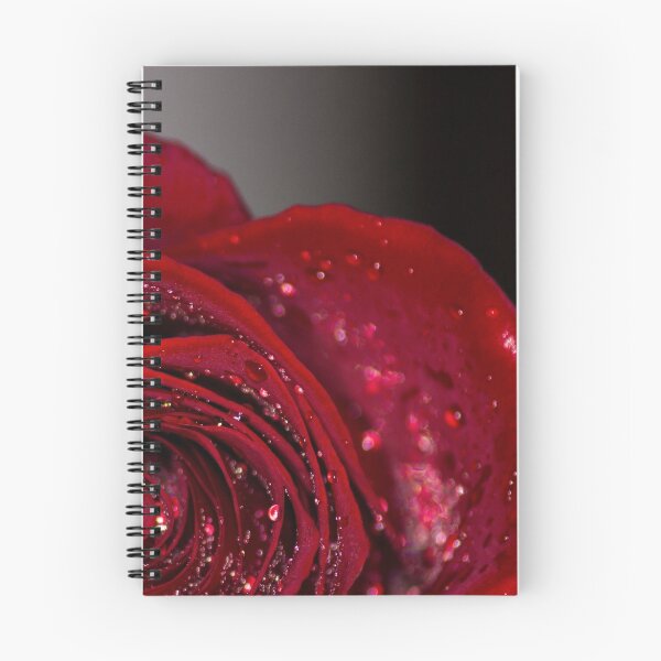 Item preview, Red Rose macro 2 designed and sold by John Velocci.
