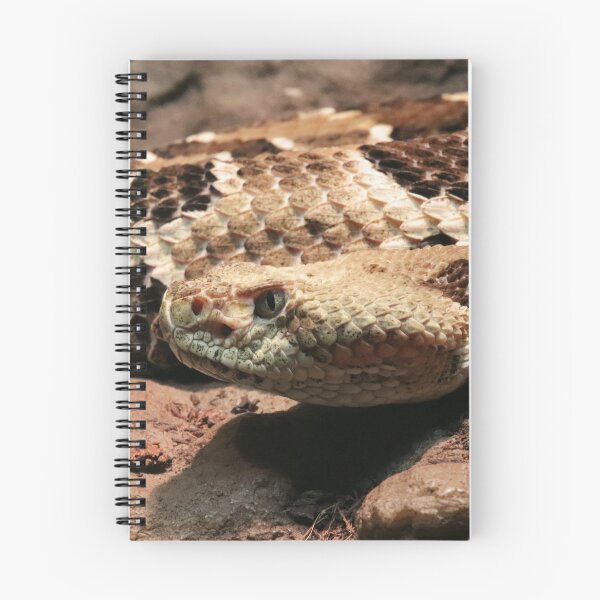 Item preview, Timber rattlesnake designed and sold by rootedrender.