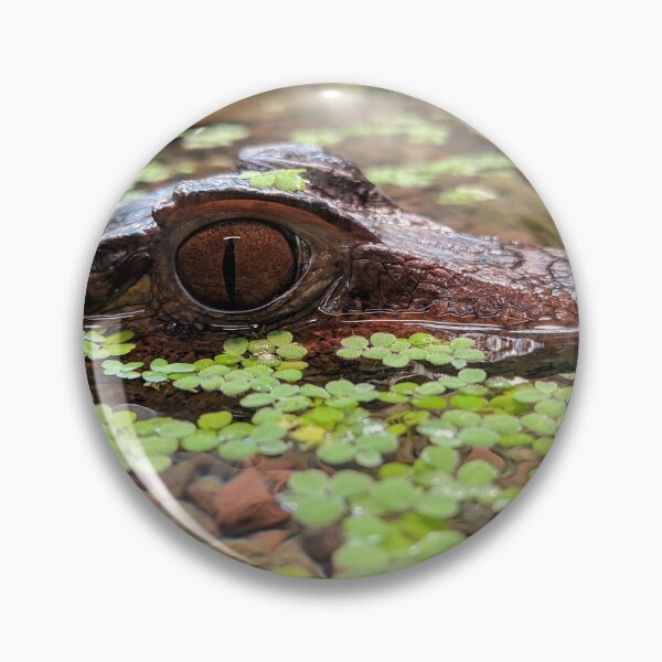 Item preview, Cuvier's dwarf caiman designed and sold by rootedrender.