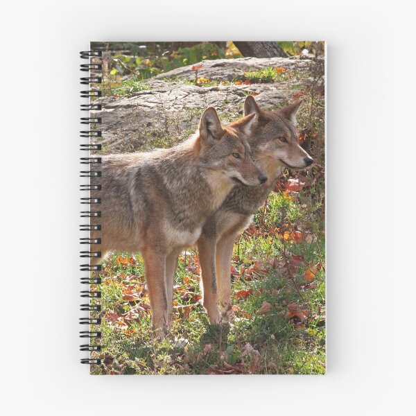 Item preview, Coyotes designed and sold by rootedrender.