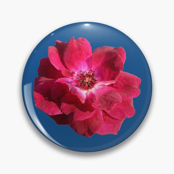 Item preview, Rosa roja sobre azul designed and sold by STHogan.